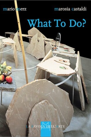 Cover of What to Do