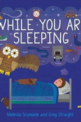 Cover of While You are Sleeping