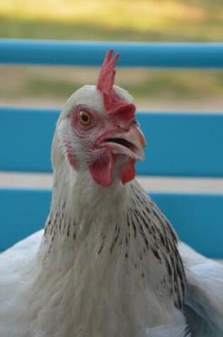 Cover of White Chicken on a Blue Chair Farm and Country Journal