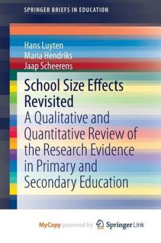 Cover of School Size Effects Revisited