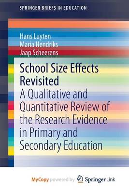 Book cover for School Size Effects Revisited