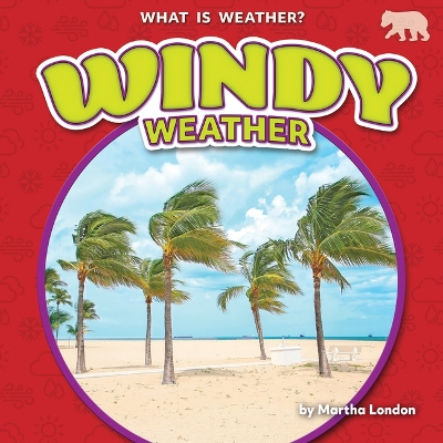 Book cover for Windy Weather