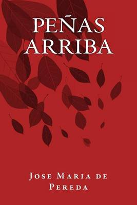 Book cover for Penas Arriba