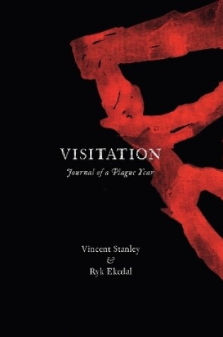 Cover of Visitation