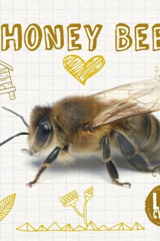 Cover of Honey Bee