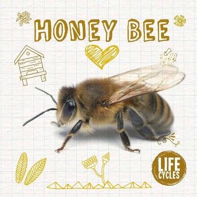 Cover of Honey Bee