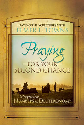 Book cover for Praying for Your Second Chance