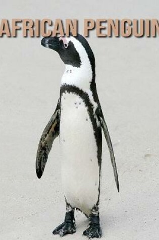 Cover of African penguin