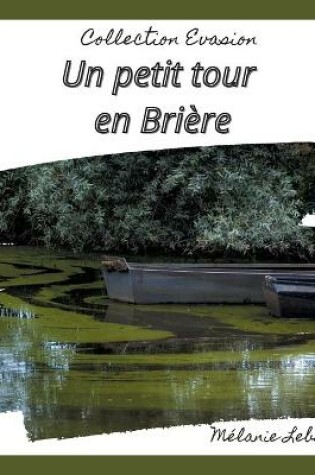 Cover of Un petit tour en brière