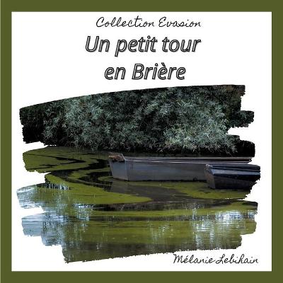 Book cover for Un petit tour en brière