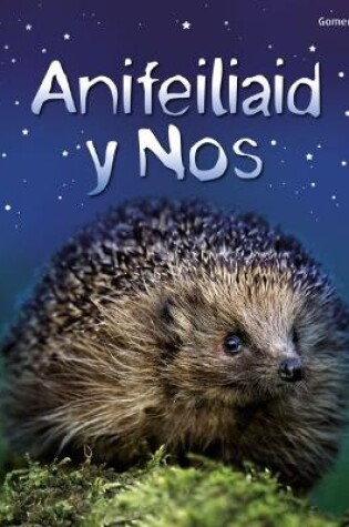 Cover of Cyfres Dechrau Da: Anifeiliaid y Nos