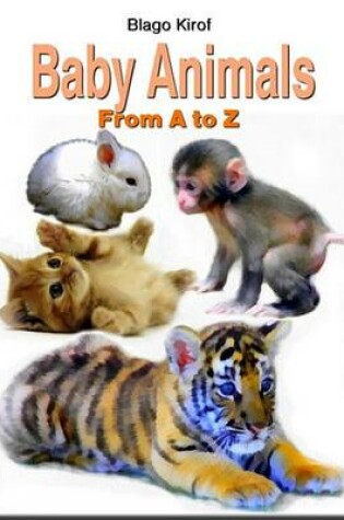 Cover of Baby Animals from A to Z