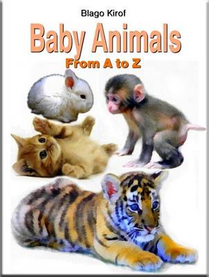 Book cover for Baby Animals from A to Z