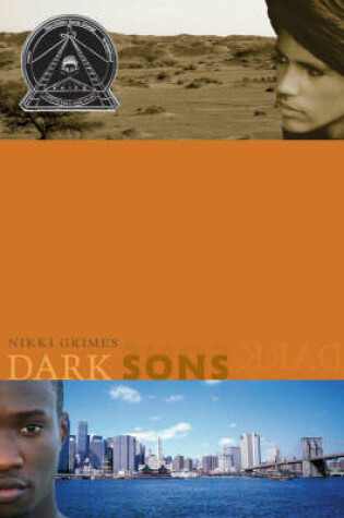 Cover of Dark Sons