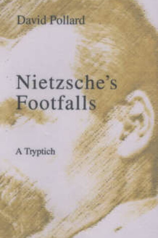 Cover of Nietzsche's Footfalls