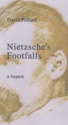 Book cover for Nietzsche's Footfalls