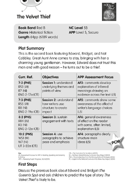 Cover of BC Red (KS2) B/5B The Velvet Thief Guided Reading Card