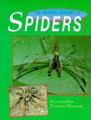 Book cover for The Natural History of Spiders