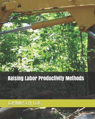 Book cover for Raising Labor Productivity Methods