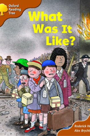 Cover of Oxford Reading Tree: Stage 8: More Storybooks (Magic Key): What Was It Like?