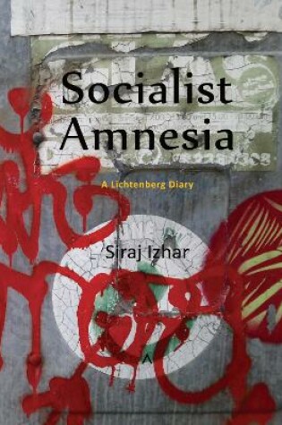 Cover of Socialist Amnesia