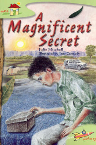 Cover of A Magnificent Secret