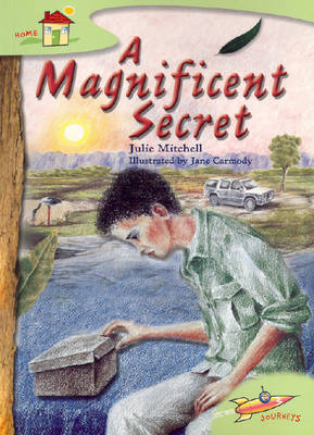 Book cover for A Magnificent Secret