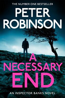 Cover of A Necessary End