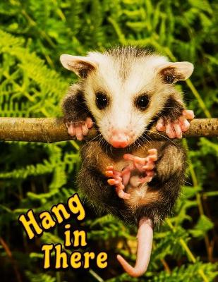 Book cover for Hang in There