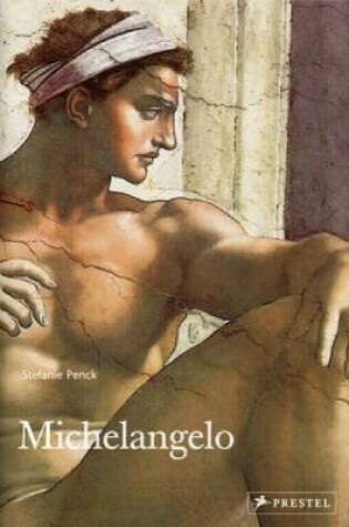 Cover of Michelangelo