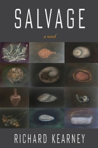 Cover of Salvage