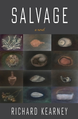 Book cover for Salvage