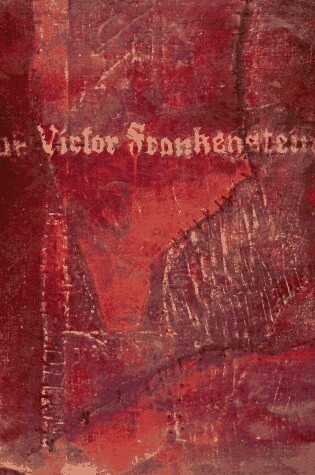 Cover of The Diary of Victor Frankenstein