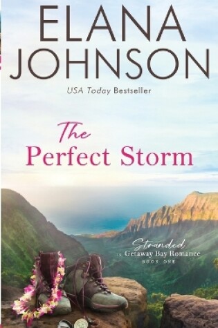 Cover of The Perfect Storm