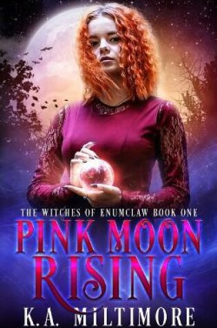 Cover of Pink Moon Rising