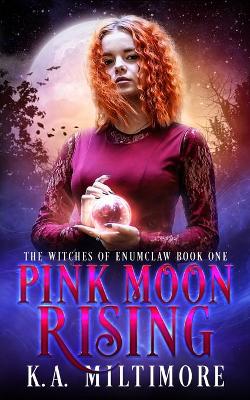 Cover of Pink Moon Rising