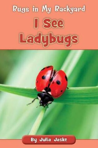 Cover of I See Ladybugs