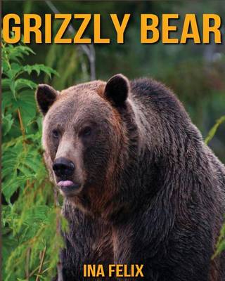 Book cover for Grizzly Bear