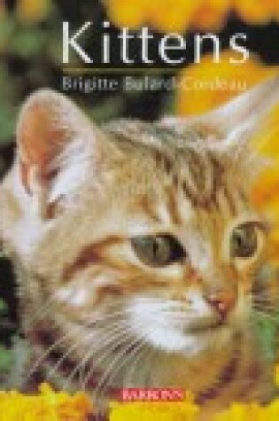 Cover of Kittens