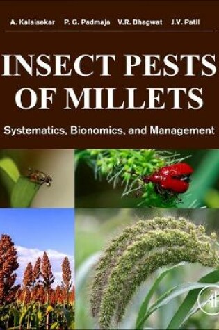 Cover of Insect Pests of Millets