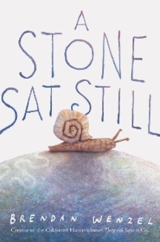 Cover of A Stone Sat Still