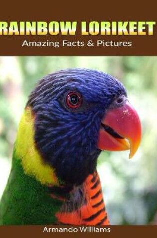 Cover of Rainbow lorikeet