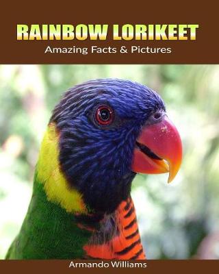 Book cover for Rainbow lorikeet