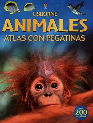 Book cover for Animales