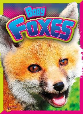 Cover of Baby Foxes