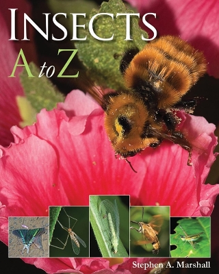 Book cover for Insects A to Z