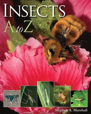 Book cover for Insects A to Z