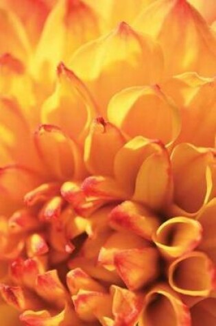 Cover of Journal Floral Orange Dahlia Flower