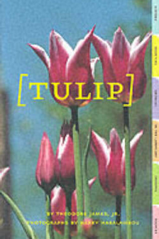 Cover of Tulip