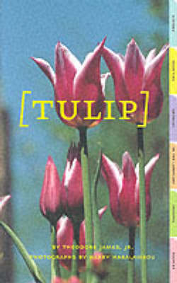 Book cover for Tulip